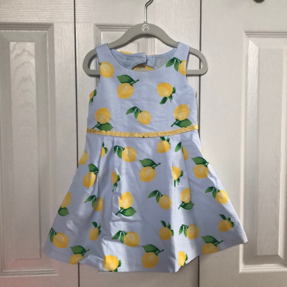 Stunning Janie and Jack Dress!
